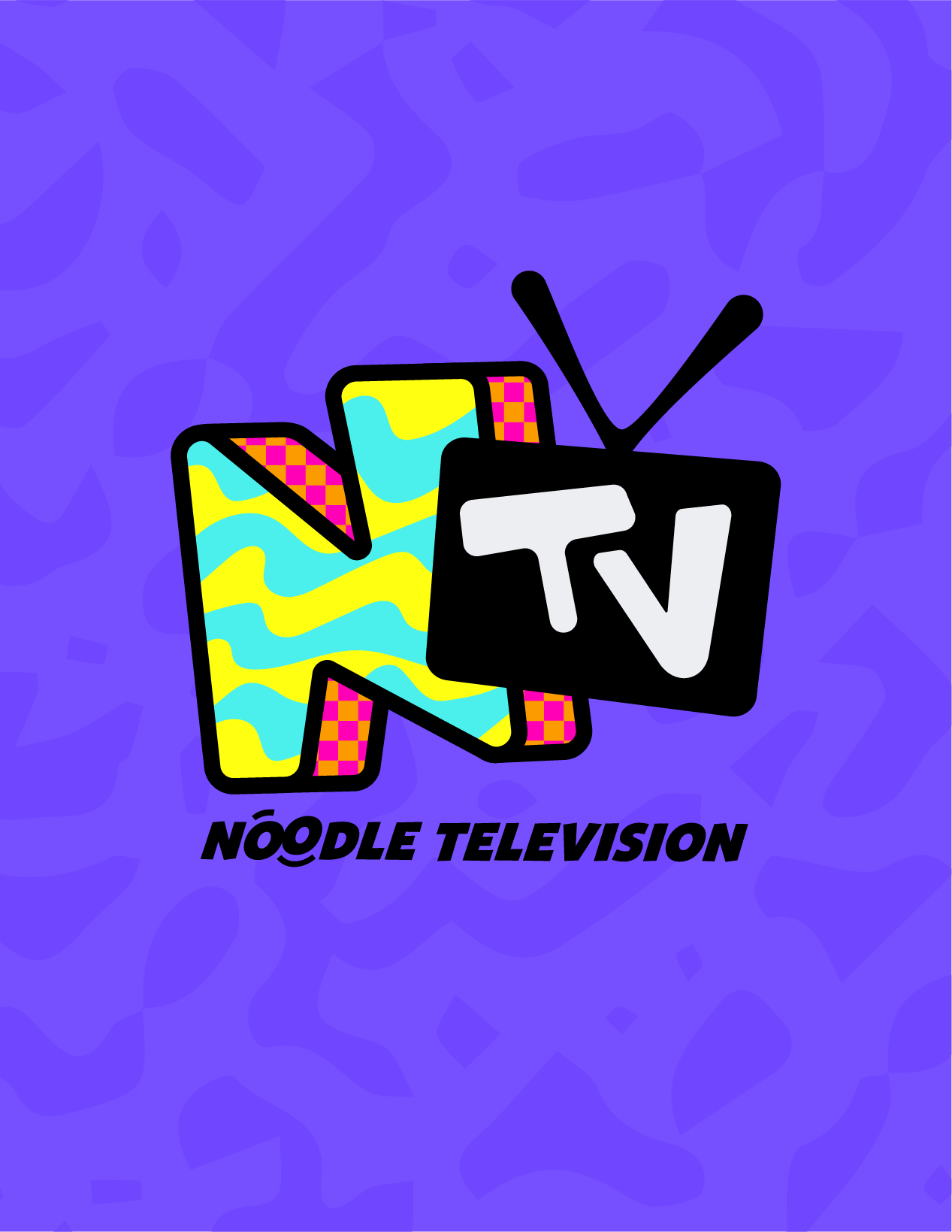 ntv-noodle-television