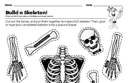 Build a Skeleton