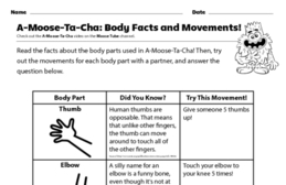 Body Facts and Movements
