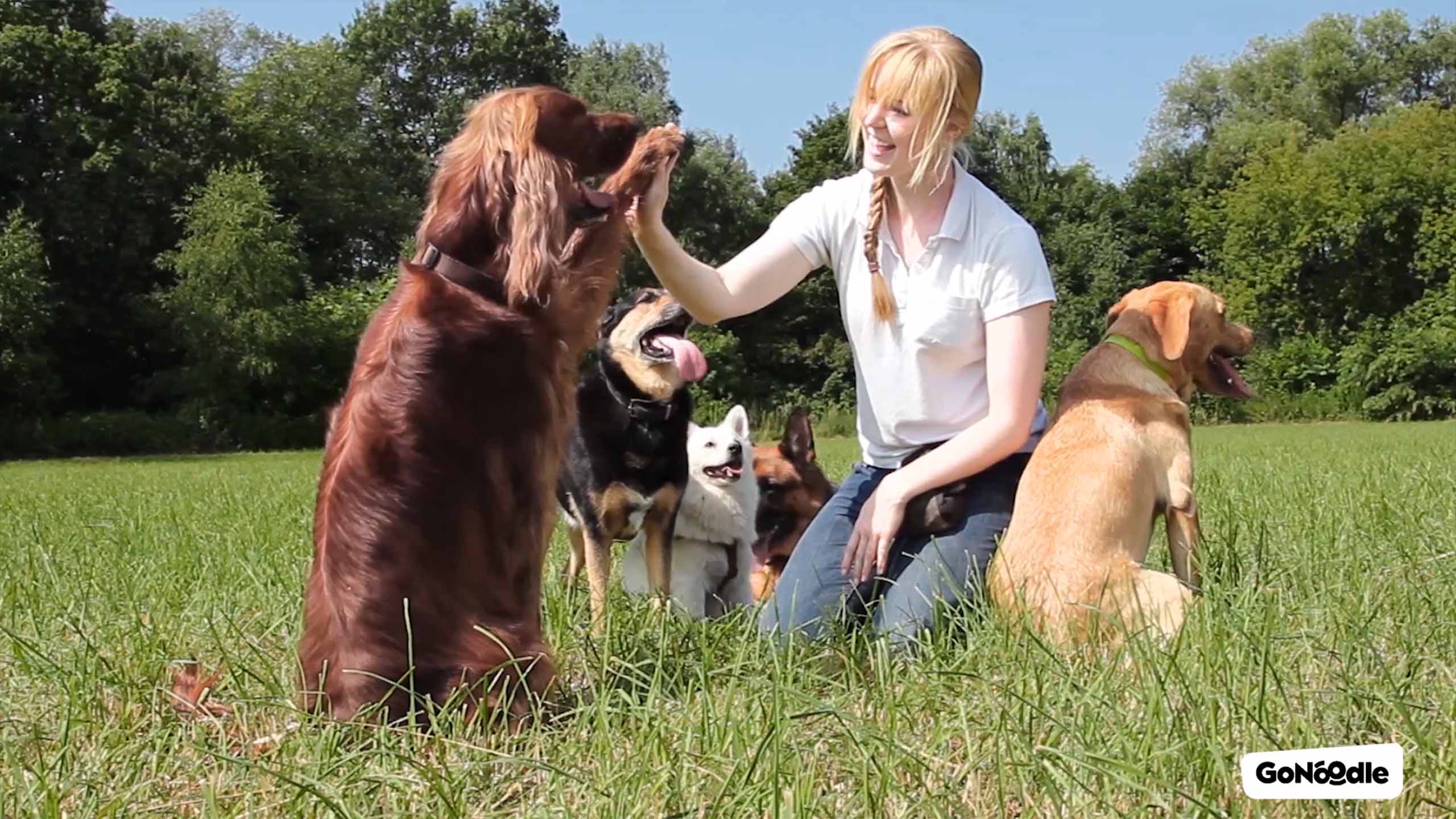 Doggy High Five