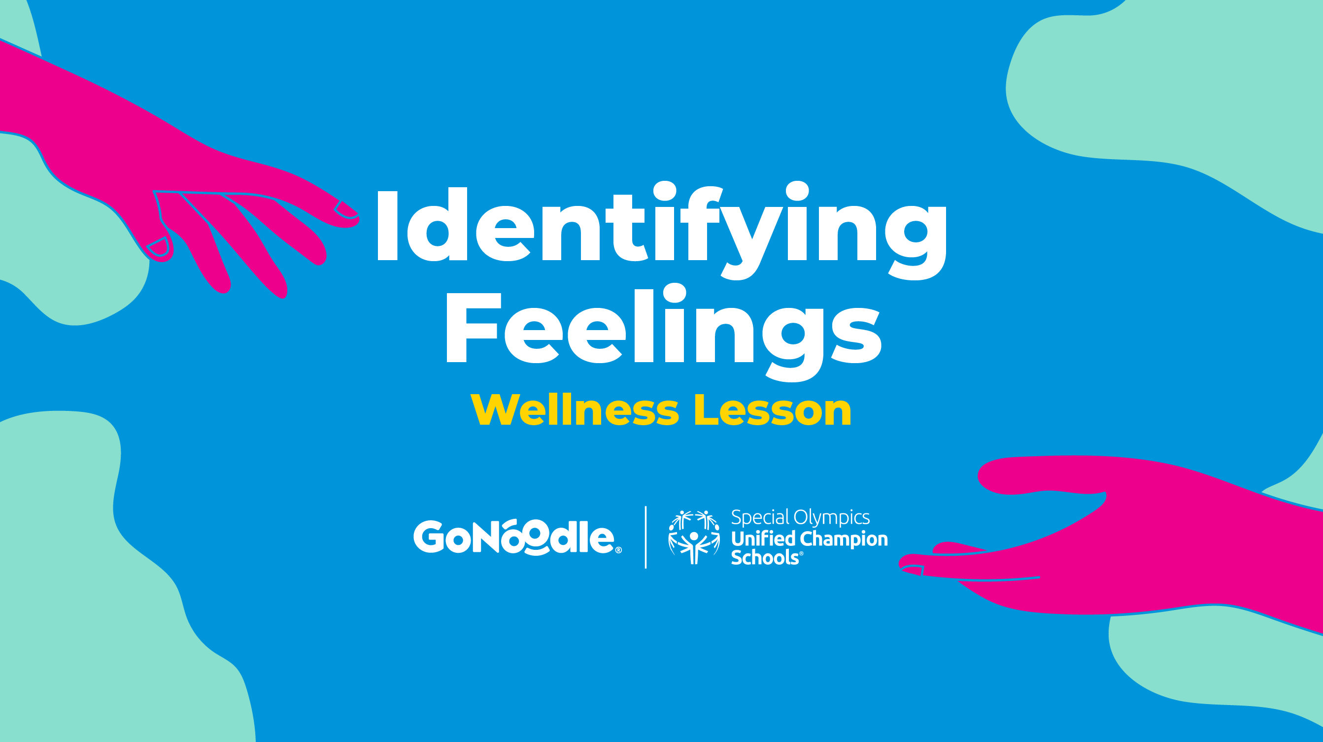 Wellness Lesson: Identifying Feelings & Emotions