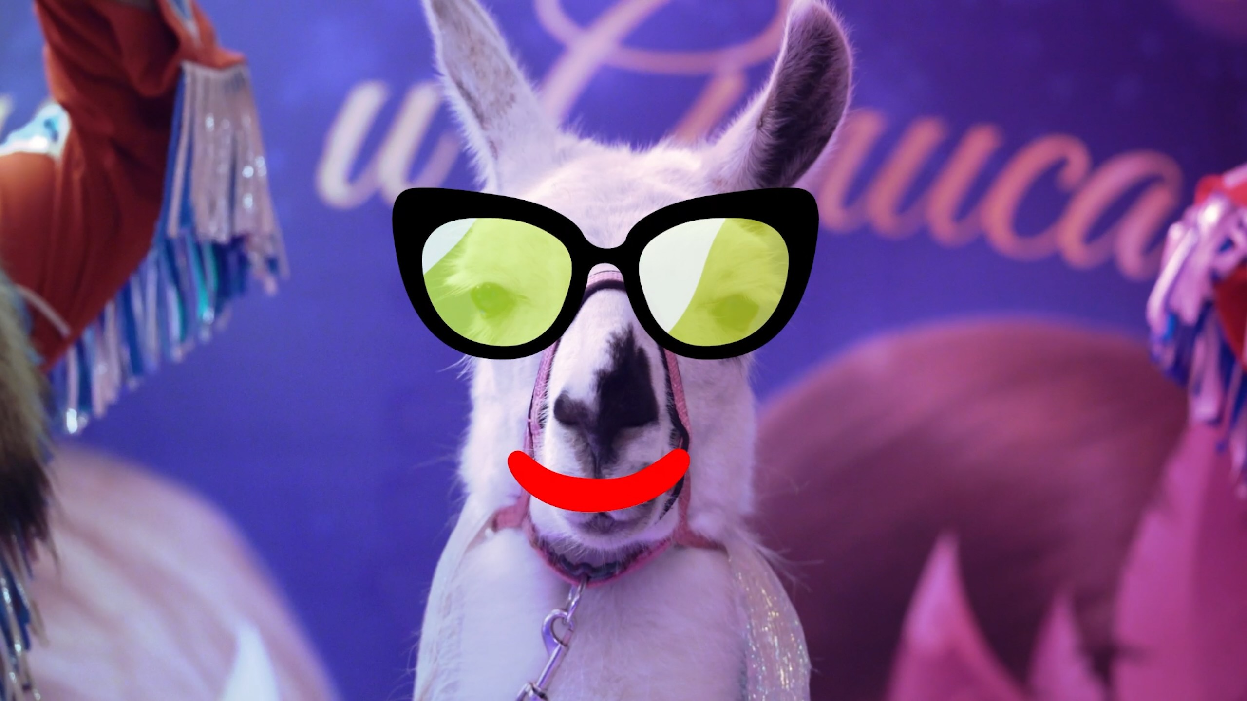 Cooltime: "Llama Song"