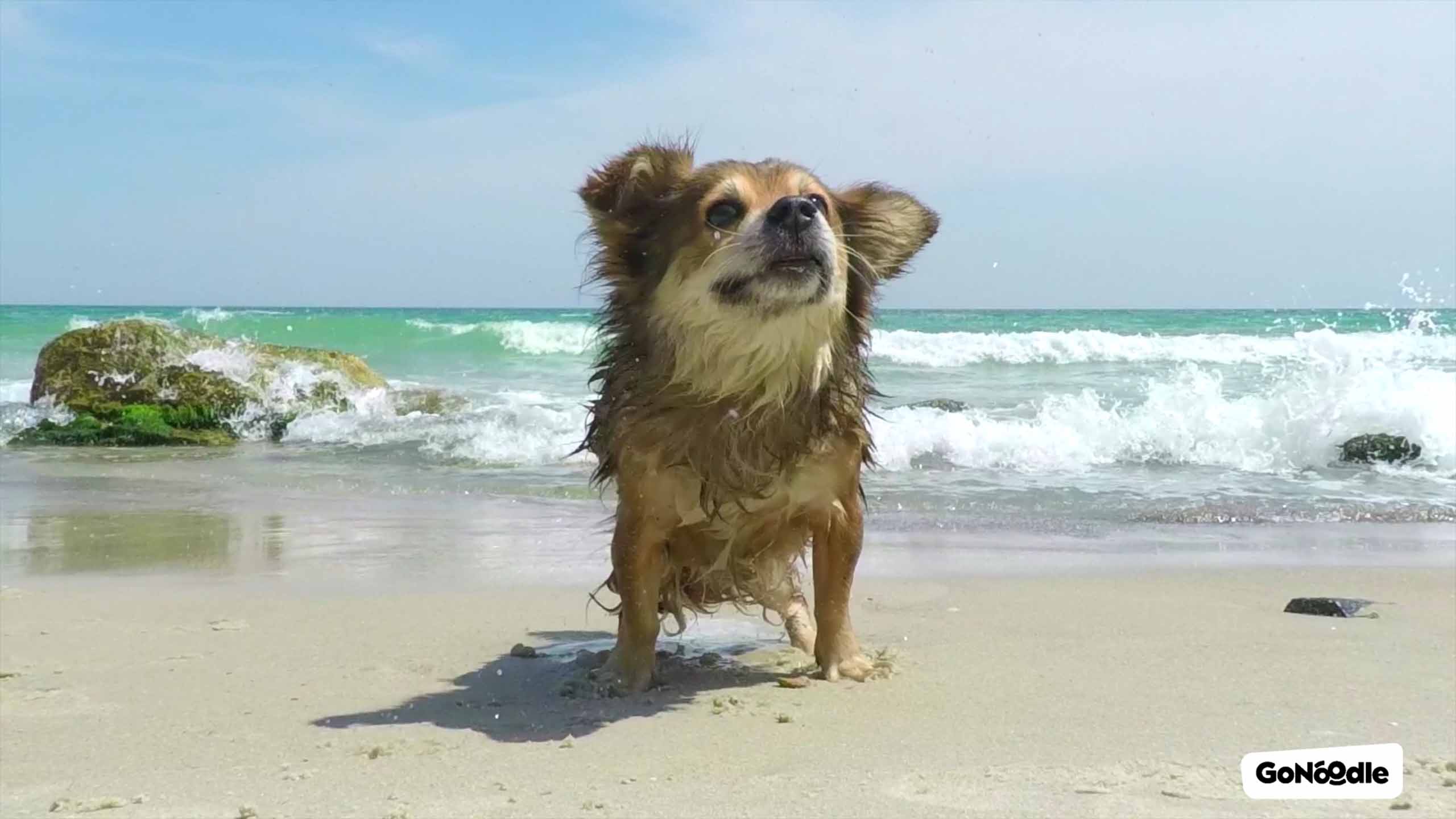 Shake It Off