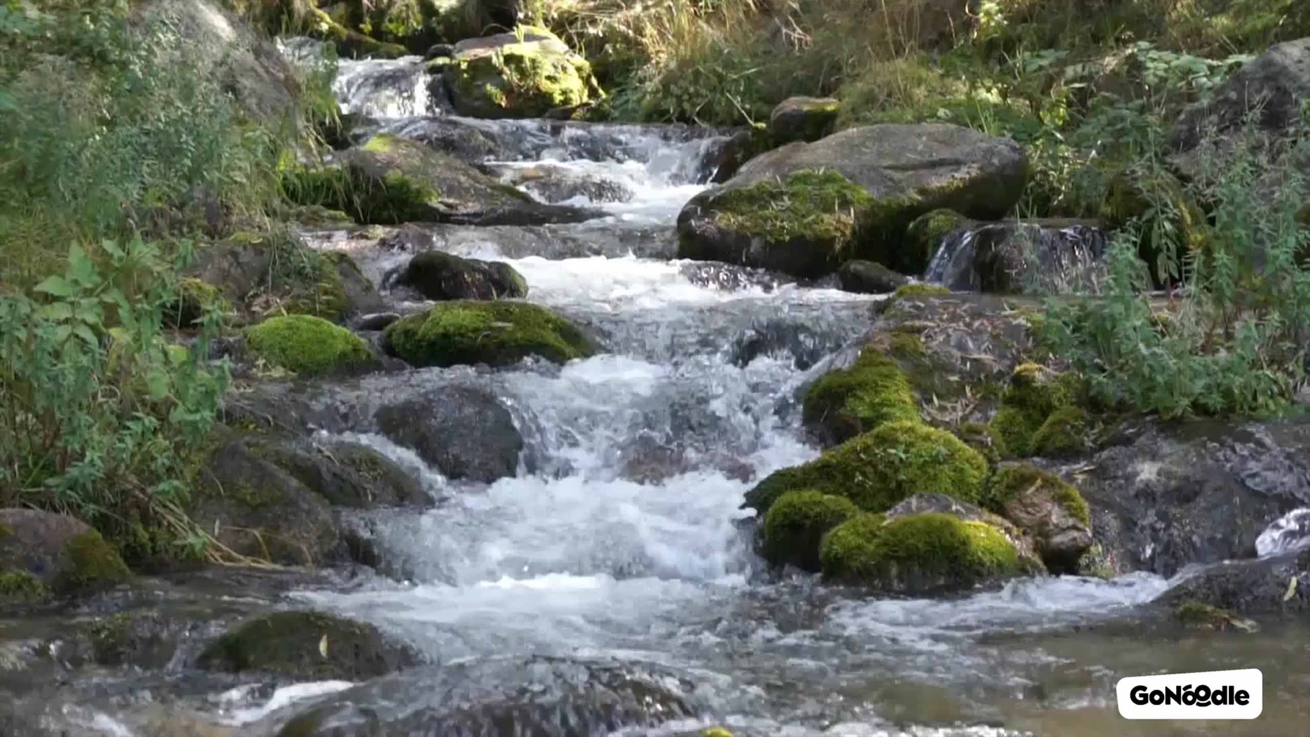 Go With The Flow