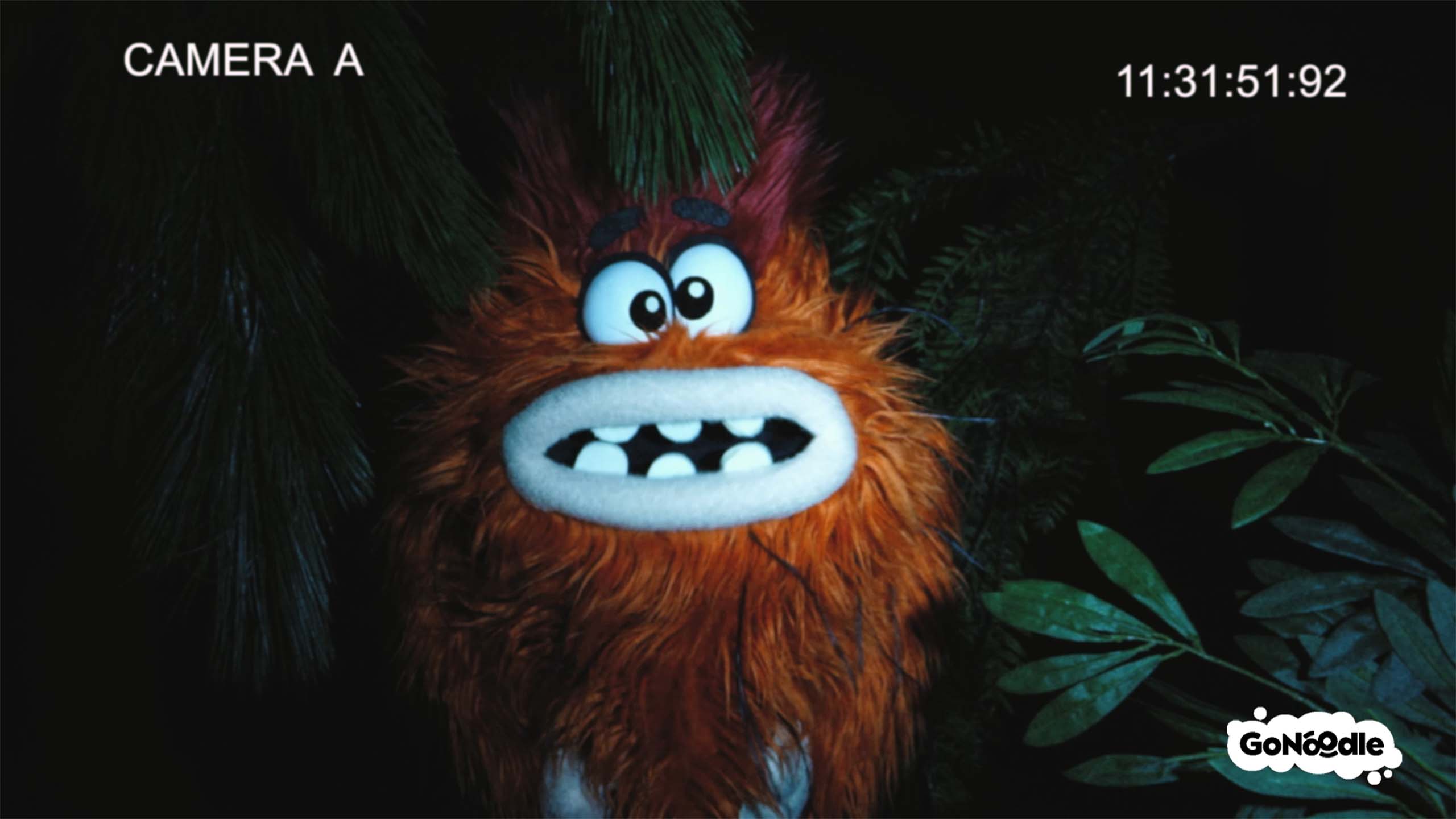 Finding Squatchy