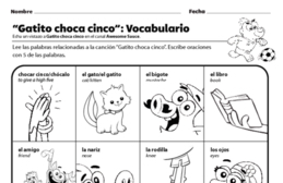 Gatito choca cinco: Vocabulario