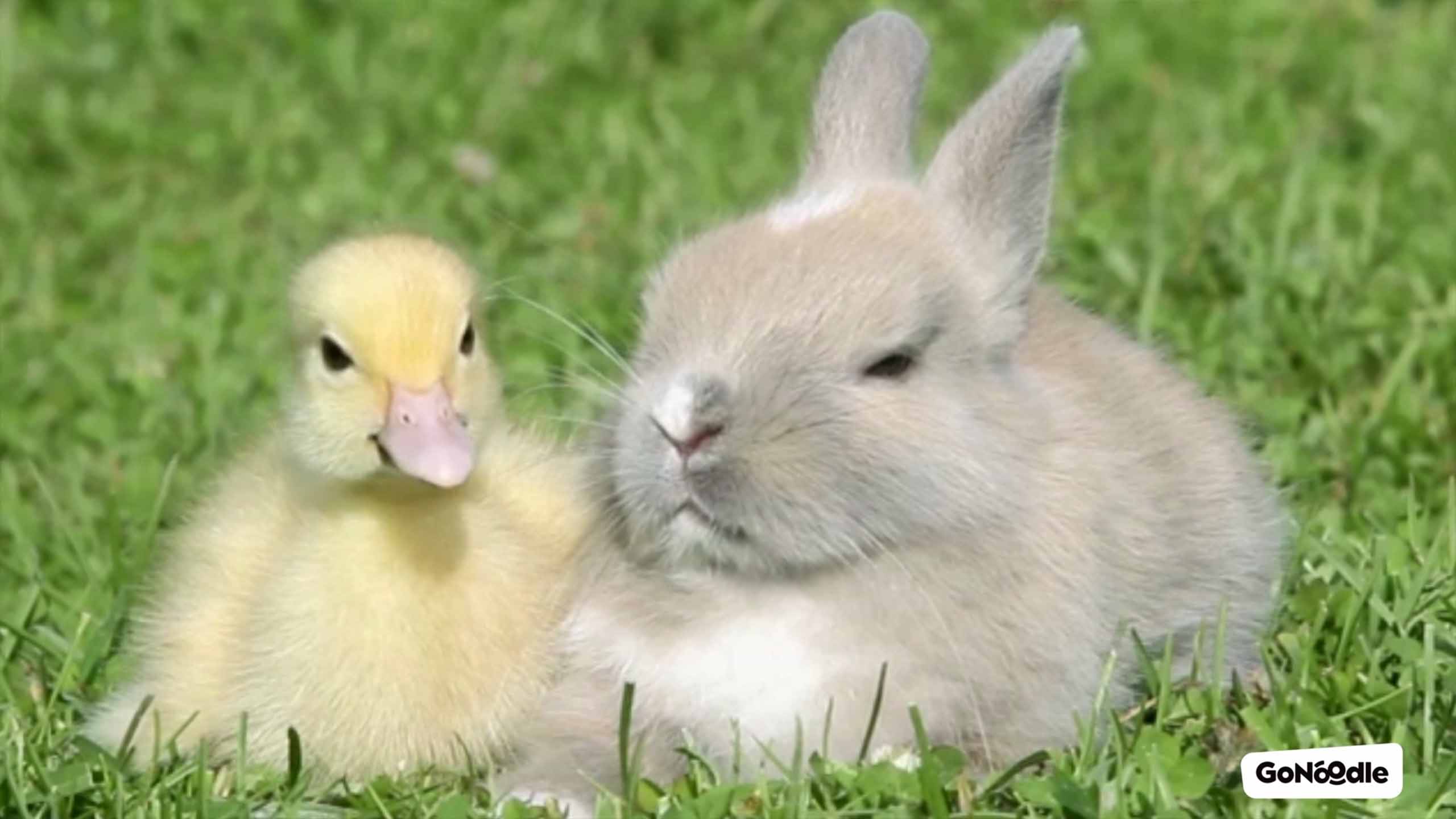 Be A Good Friend