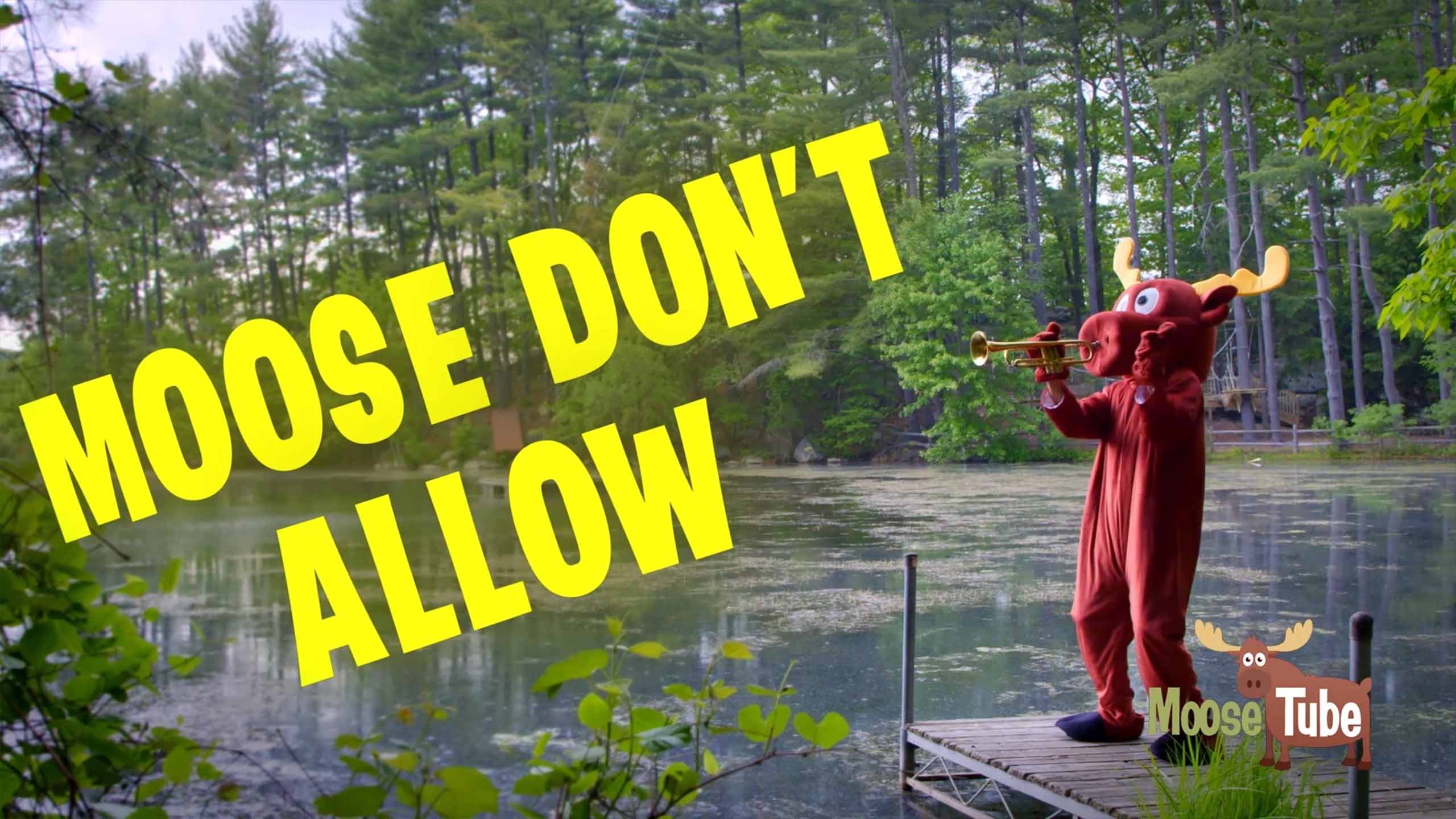 Moose Don't Allow
