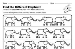 Find the Different Elephant