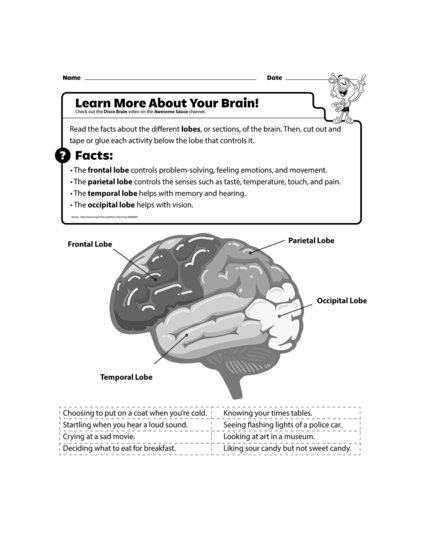 learn-more-about-your-brain-image
