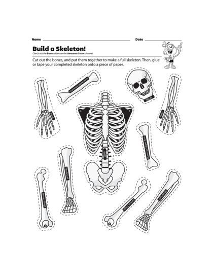 build-a-skeleton-image