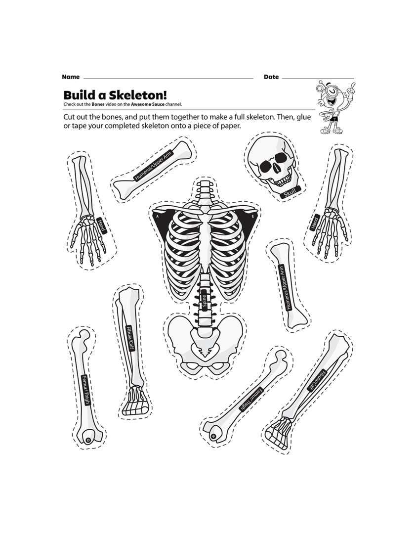 gonoodle-build-a-skeleton