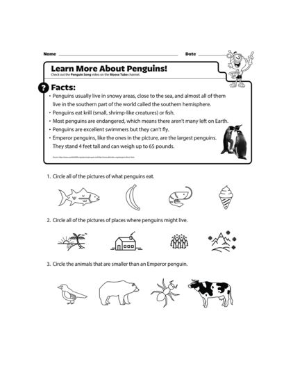 learn-more-about-penguins-image