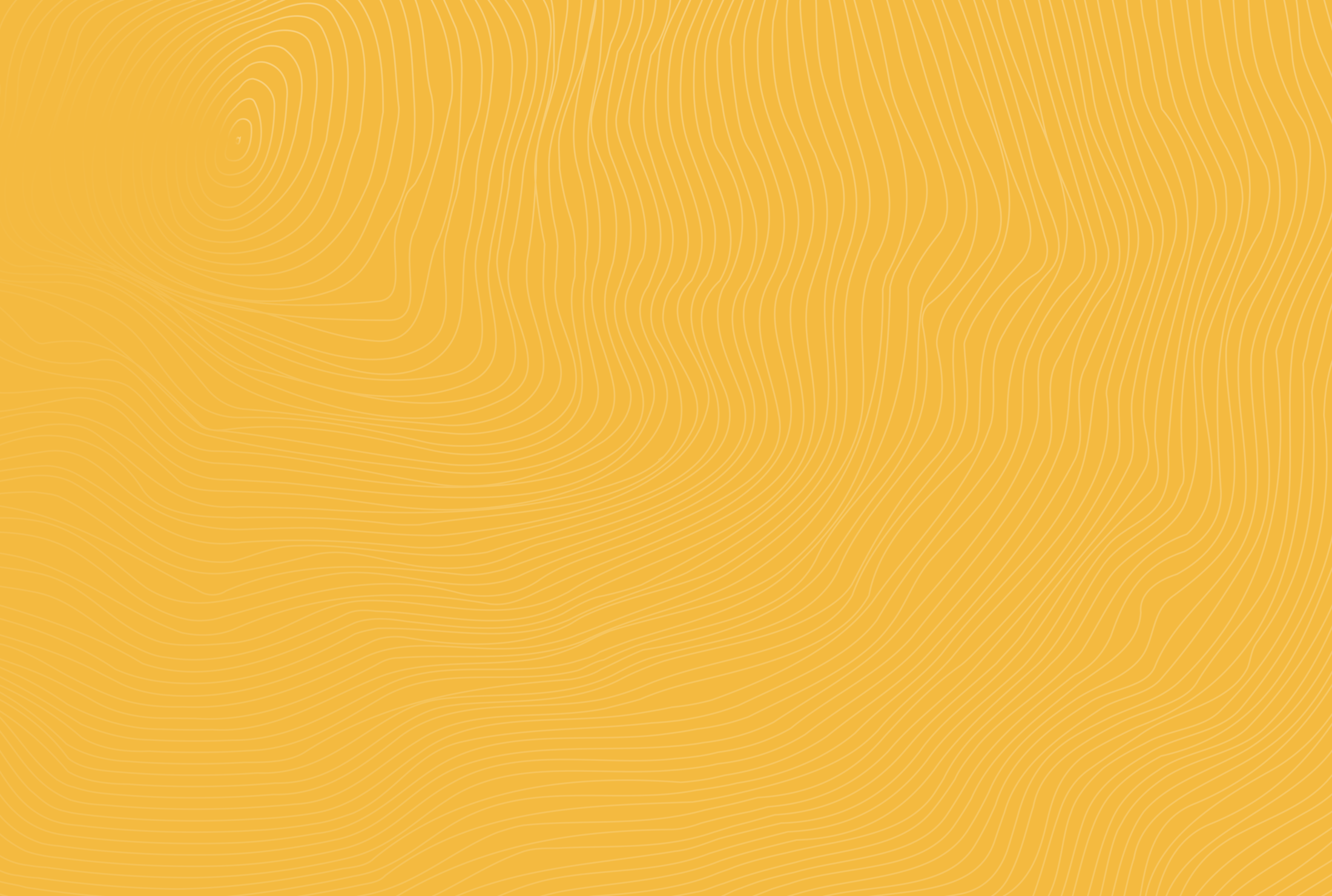 Header for SuperNoodle Competency 7: Confidence