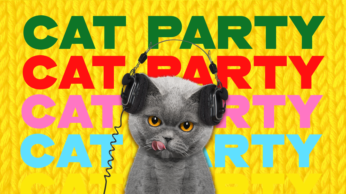 Cat Party Gonoodle - cats in roblox have gone crazy